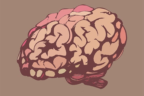  Forscher decken Ursachen des Stotterns auf