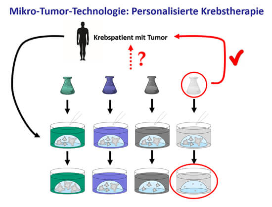 Schema Mikrotumor-Technologie