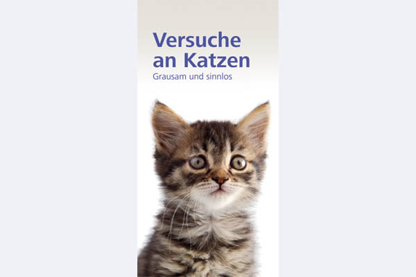 Flyer - Katzen