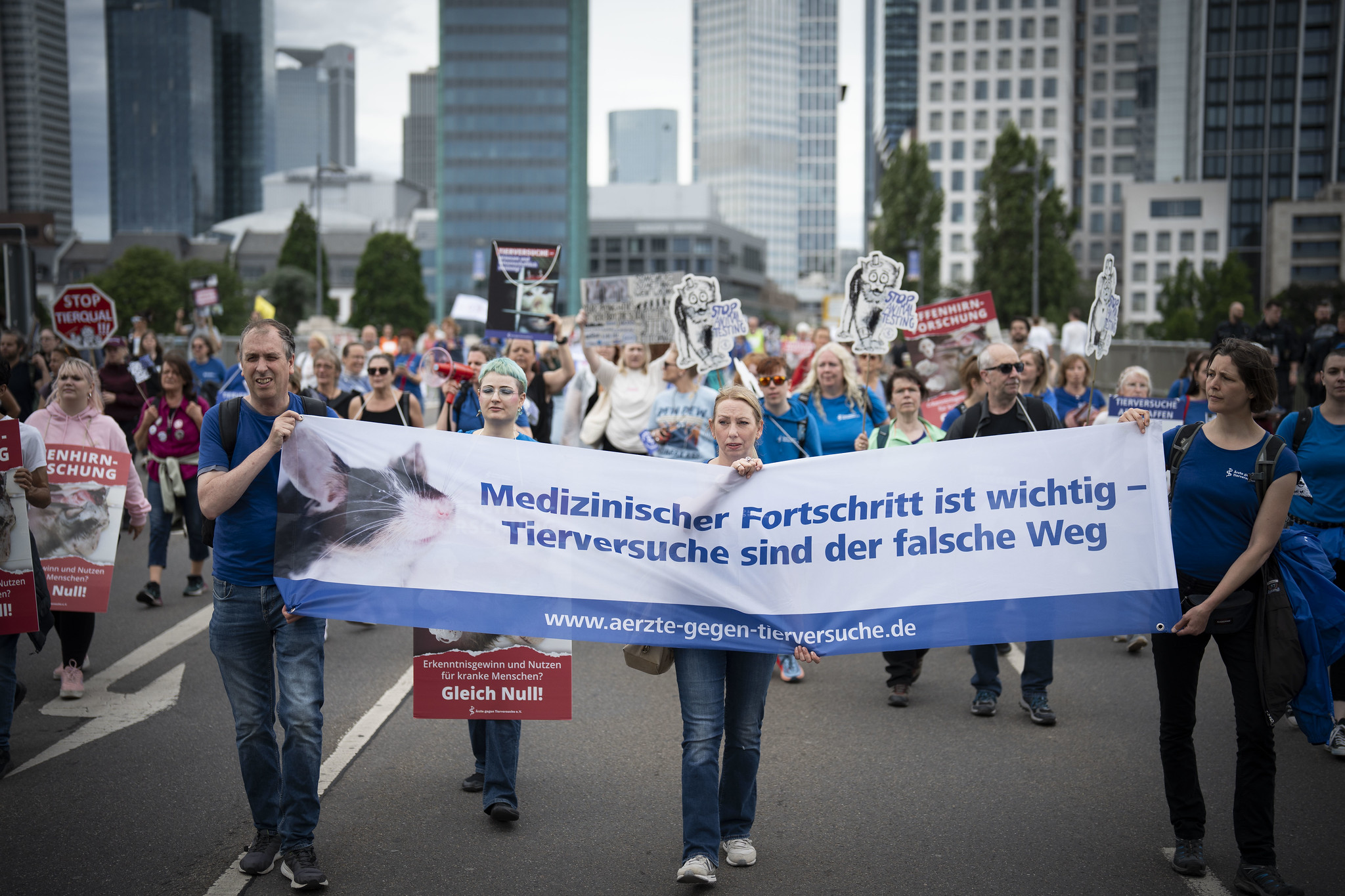 Großdemo in Frankfurt