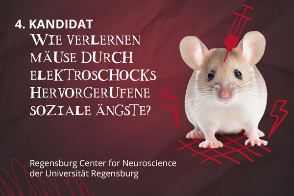 Abstimung zum absurdesten Tierversuch