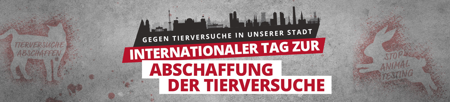 startseite teaser itzadt2024